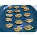 Kernel Kernels Light Qaurters (LQ)